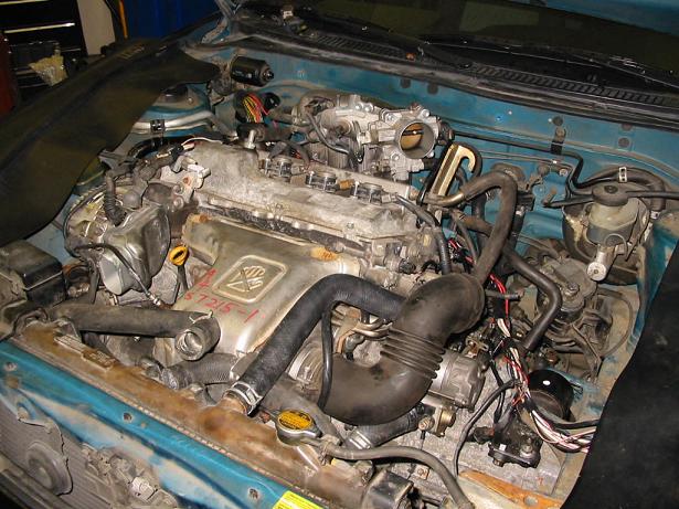 IPB Image