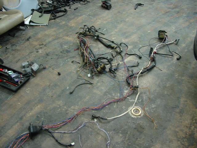 IPB Image
